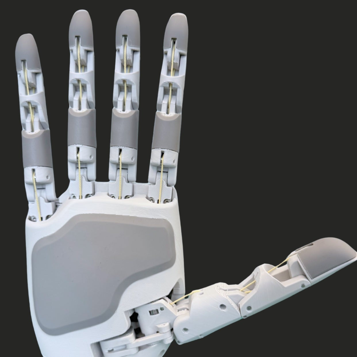 Aero Hand Open - Assembled